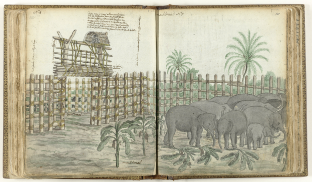 Ein aufgeschlagenes Buch mit einer Zeichnung von Elefanten in einem Zoo, umgeben von Bäumen, Pflanzen und einem Zaun, mit begleitendem Text.