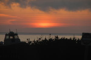 Ein Boot ist im Hintergrund zu sehen, mit Pflanzen und einem Schild mit Text im Vordergrund, unter einem bewölkten Himmel und über einem Gewässer.