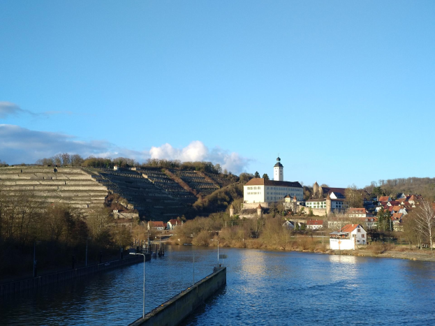 Eine malerische Ansicht des Rheins in Deutschland, mit einer Brücke, Laternenpfählen, Bäumen, Gebäuden entlang der Riverbank und einem Hügel im Hintergrund bei bewölktem Himmel.