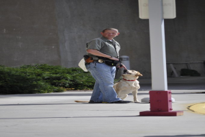 Mann fängt Hund auf Straße mit Stange, Namensschild, Pflanzen und Gebäude im Hintergrund.