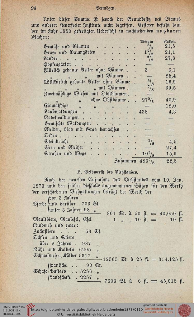 Titelblatt der 1873er-Ausgabe der Universität Heidelberg mit textuellen und numerischen Details zur Universitätsgeschichte.