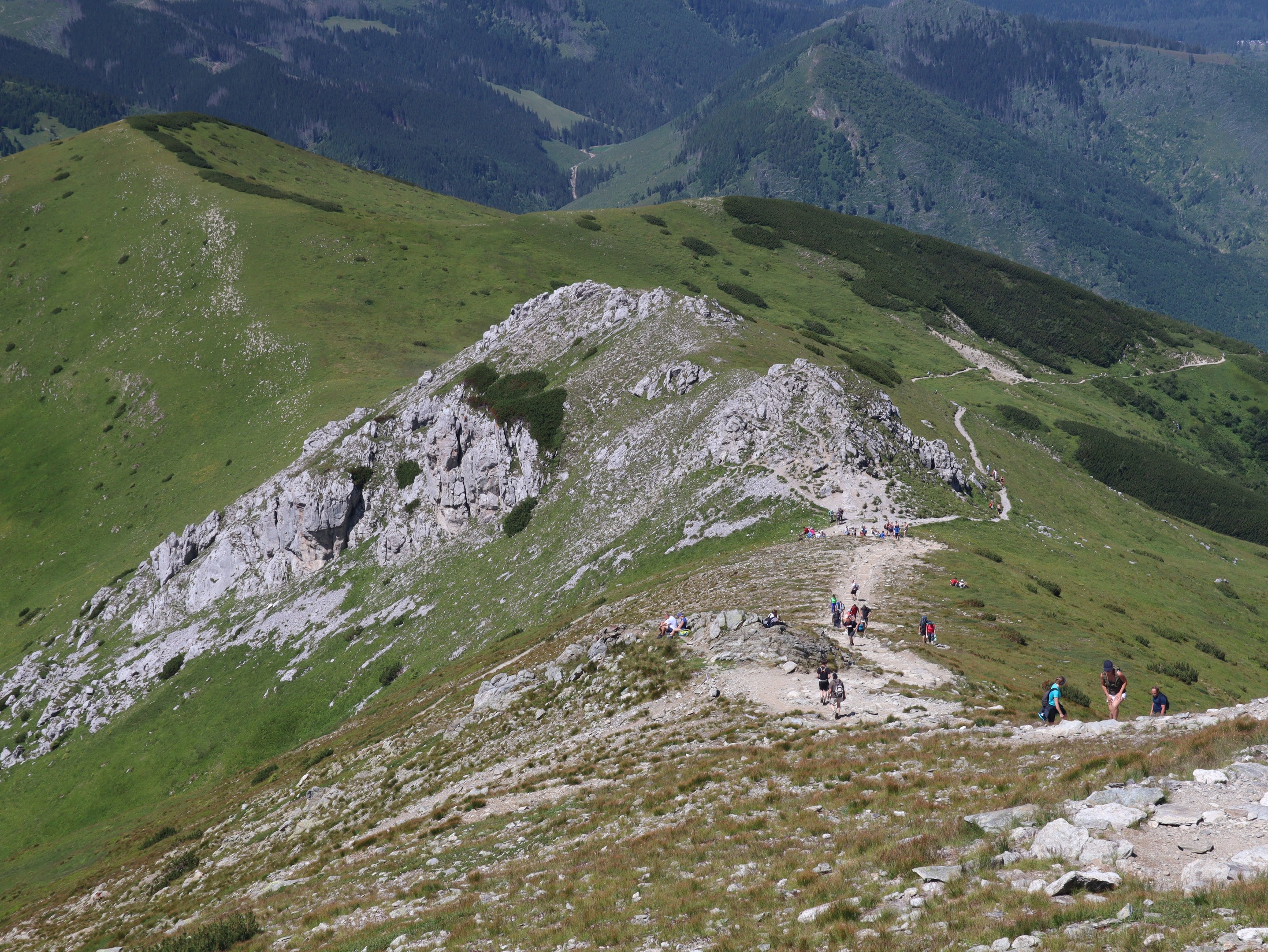 Gruppe von Menschen beim Wandern auf einem Berghang mit grünem Gras und steinigem Gelände, Himmel im Hintergrund sichtbar