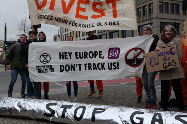 Eine Gruppe von Menschen steht auf einer Straße und hält ein Schild hoch, auf dem 'Stoppt Benzin' steht, als Protest gegen die Europäische Union, mit Gebäuden, Bäumen, Polen, Verkehrszeichen und einem klaren blauen Himmel im Hintergrund.