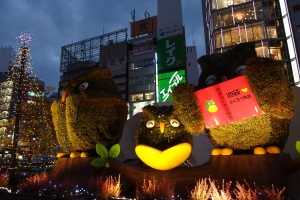 Vögel in der Mitte, Pflanzen unten, ein Weihnachtsbaum links, Gebäude im Hintergrund und Banner mit Text.