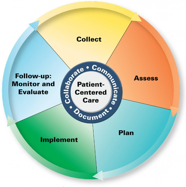 Ein Kreisdiagramm mit der Bezeichnung "patientenorientierte Pflege" und vier farbigen Abschnitten, jeweils mit einer spezifischen Pflegeart beschriftet.