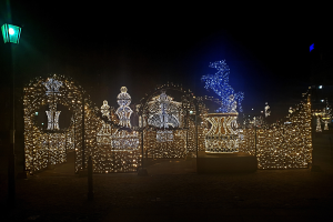 Eine nächtliche Parkszene mit Weihnachtslichter in einem dekorativen Muster, beleuchtet von einer Straßenlaterne auf der linken Seite.