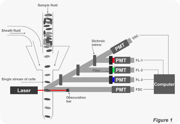 Diagramm, das einen Laser und einen Computer in einem Schema eines Einzellinien-Systems mit beschrifteten Komponenten zeigt.