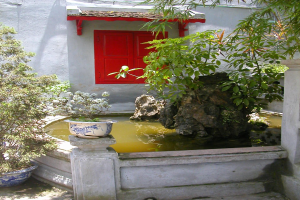 Kleiner Hof mit einer roten Tür, umgeben von Bäumen, Pflanzen, Felsen, einer Wand und einem Topf mit einer Pflanze.
