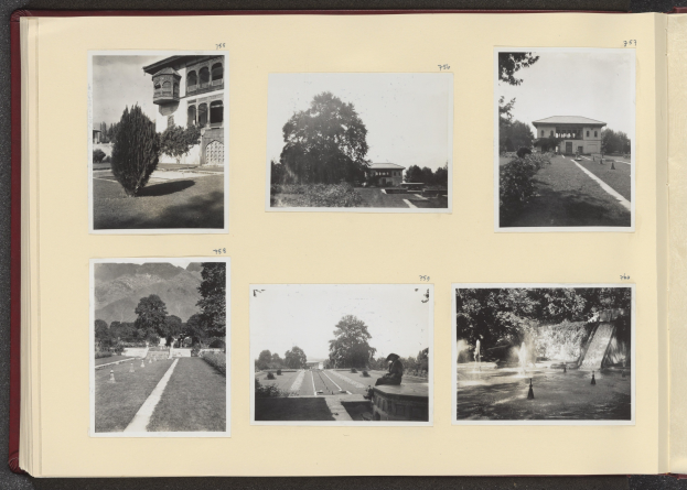 Schwarz-weiß-Kollage aus Fotos von Bäumen in der Mitte, umgeben von Gebäuden und einem Brunnen.