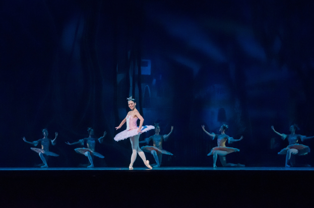Eine Balletttänzerin in einem rosafarbenen Tutu und Spitzenschuhen tanzt auf einer Bühne mit anderen Tänzern in ähnlichen Kostümen vor einem dunklen Hintergrund.