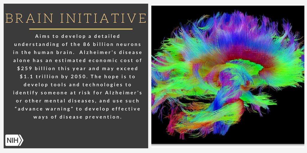 Plakat mit einer bunten Illustration eines Gehirns auf der rechten Seite und Text auf der linken Seite, der das Ziel der Brain-Initiative beschreibt, die Neuronen im menschlichen Gehirn zu verstehen.