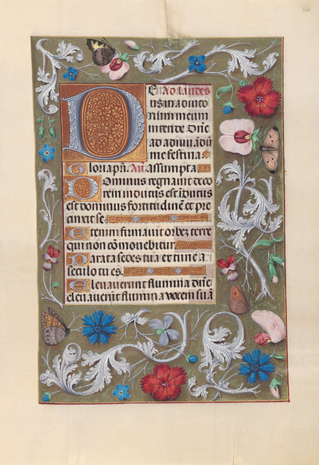 Illuminierte Handschriftenseite mit symmetrischem floralem Design, Schmetterlingen, detaillierten Elementen, leuchtenden Farben und kalligrafischem Text.