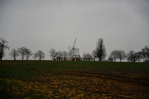 Eine Windmühle steht in einem eingezäunten Feld mit Bäumen unter einem bewölkten Himmel mit fliegenden Vögeln.
