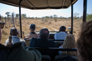 Eine Gruppe von Menschen in einem Fahrzeug durch einen Wald fahren, wobei eine Person eine Kamera in der vorderen Sitzreihe hält, Bäume und ein klarer Himmel im Hintergrund.