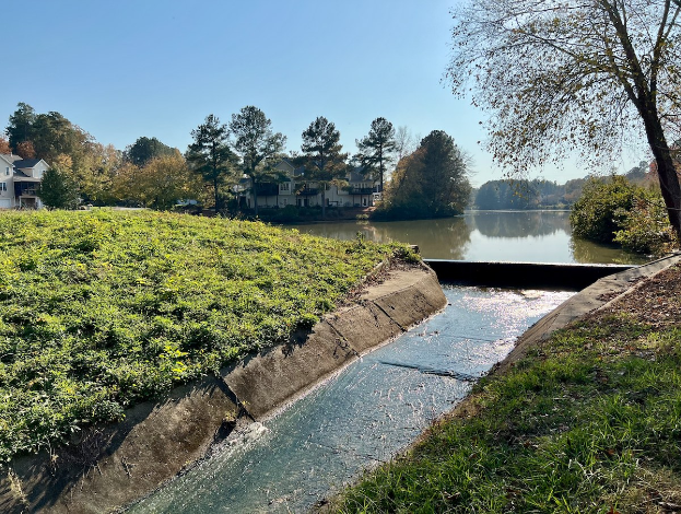 Kleiner Bach, der durch eine grüne Wiese neben einem Gewässer fließt, mit Bäumen und Pflanzen auf beiden Seiten, Gebäuden im Hintergrund und einem klaren blauen Himmel.