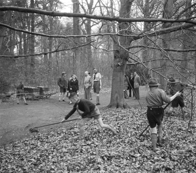 Schwarz-weißes Bild von Menschen, die mit Stöcken in einem bewaldeten Gebiet mit abgefallenen Blättern spielen.
