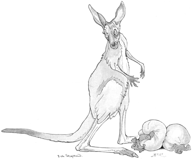 Eine Schwarz-Weiß-Zeichnung eines Kängurus, das auf seinen Hinterbeinen steht und ein Stück Fleisch im Mund hält.