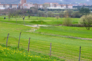 Golfplatz mit saftig grünem Rasen, hohen Bäumen, gelben Blumen im Vordergrund, Gebäuden und wolkenlosem Himmel im Hintergrund sowie Menschen beim Golfspielen.