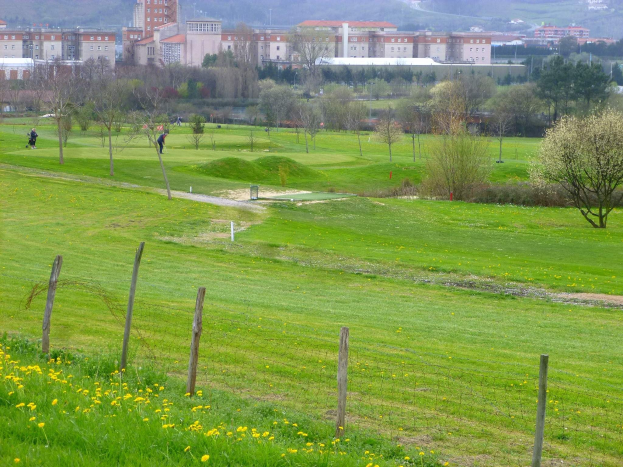 Golfplatz mit saftig grünem Rasen, hohen Bäumen, gelben Blumen im Vordergrund, Gebäuden und wolkenlosem Himmel im Hintergrund sowie Menschen beim Golfspielen.